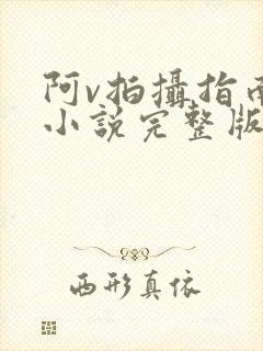 阿v拍摄指南说小说完整版