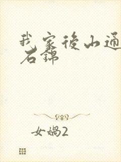 我家后山通仙界石锦