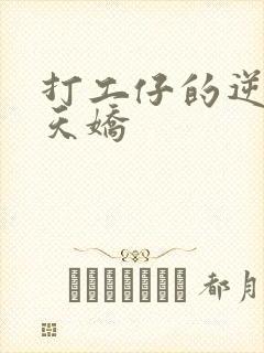 打工仔的逆袭楚天娇