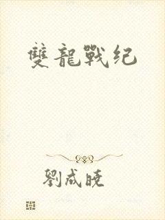 双龙战纪