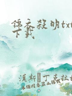 锦衣杀明txt下载