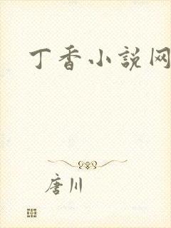 丁香小说网