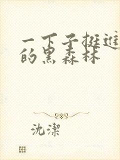 一下子挺进浓密的黑森林