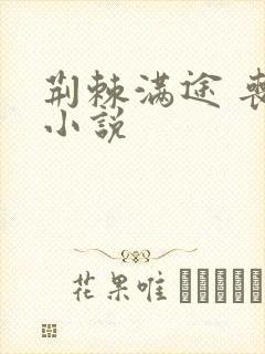 荆棘满途 丧鱼小说