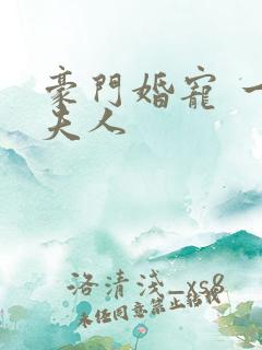 豪门婚宠 一品夫人