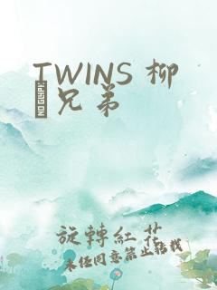TWINS 柳澤兄弟