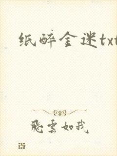 纸醉金迷txt
