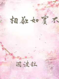 相敬如宾不相睹