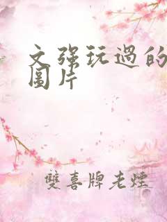 文强玩过的女人图片