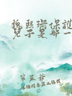 魏熙珊保护萧峥儿子是哪一集