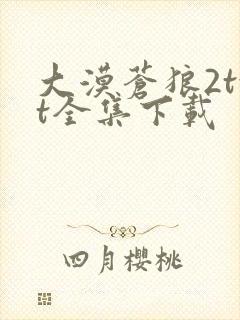 大漠苍狼2txt全集下载