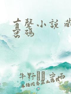 有声小说 藏地密码