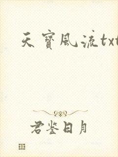 天宝风流txt
