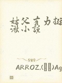 姑父有力挺送徐湫小说