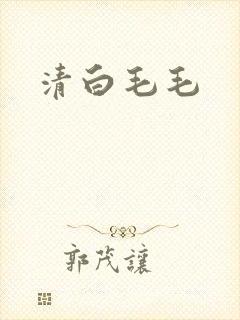 清白毛毛
