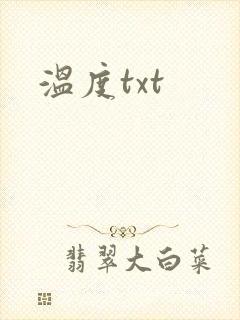 温度txt