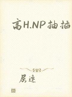 高H.NP抽插
