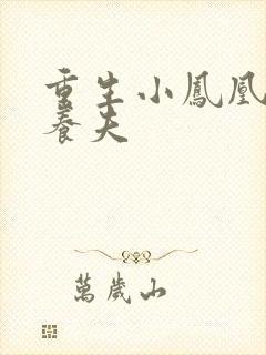 重生小凤凰的童养夫