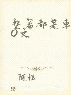 整篇都是车的PO文