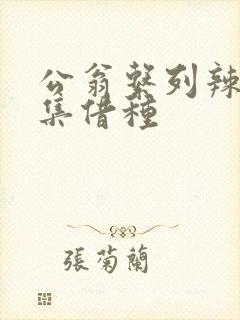 公翁系列辣文全集借种