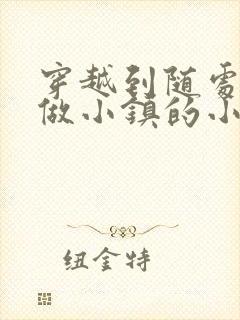 穿越到随处可以做小镇的小说