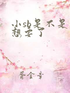 小sb是不是又想要了
