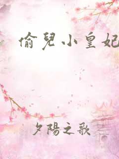 偷儿小皇妃