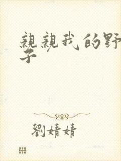 亲亲我的野猪王子