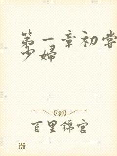 第一章初尝云雨少妇