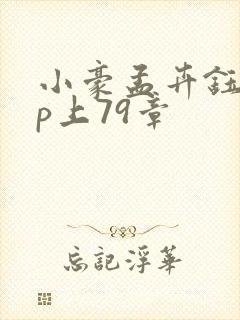 小豪孟卉钰慧三p上79章