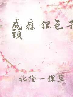 成瘾 银色子弹头