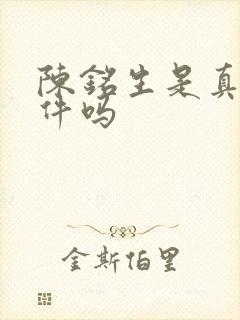 陈铭生是真实事件吗