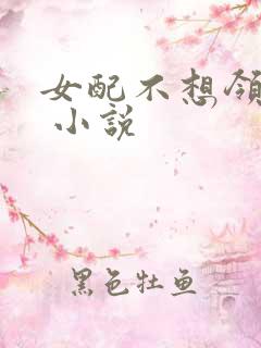 女配不想领便当 小说