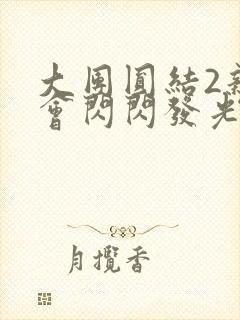 大团圆结2亲情会闪闪发光亲情会