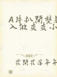 A片扒开双腿进入做爽爽小说