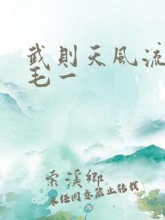 武则天风流艳情毛一