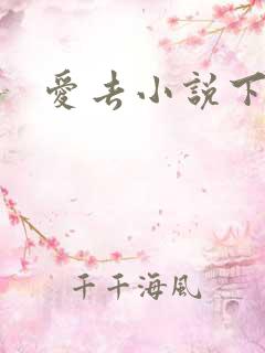 爱去小说下载网