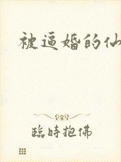 被逼婚的仙二代