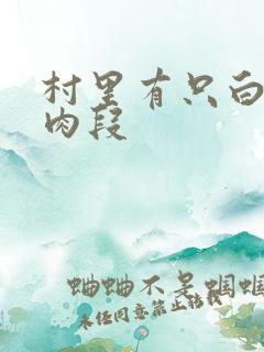 村里有只白骨精肉段