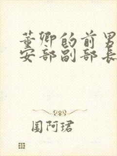 董卿的前男友公安部副部长