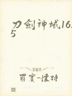 刀剑神域16.5