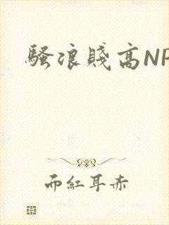 骚浪贱高NPH