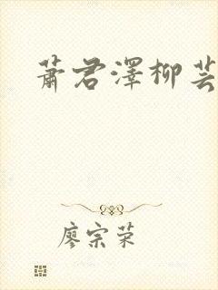 萧君泽柳芸小说