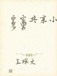 皇家共享小公主多男