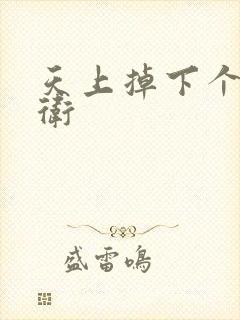 天上掉下个影卫卫