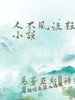 人不风流枉少年小说