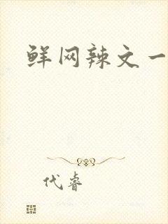 鲜网辣文一对一