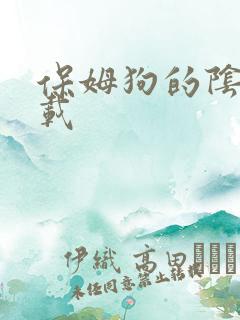 保姆狗的阴谋下载