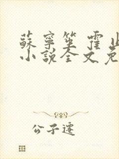 苏宁笙 霍止行小说全文免费阅读