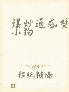 爆炒通感双胞胎小狗